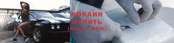 соль ск Переславль-Залесский
