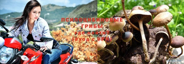 прущая мука Осташков