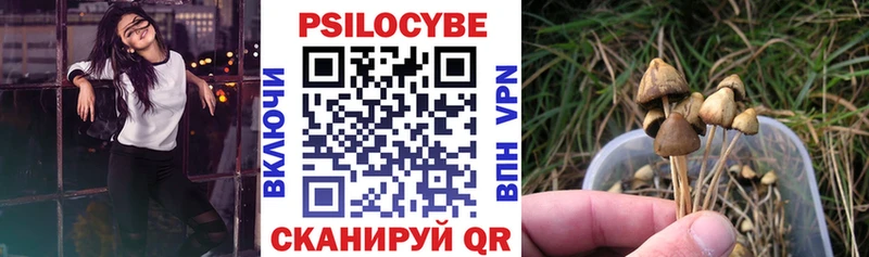 Псилоцибиновые грибы Psilocybe  наркотики  Тольятти 