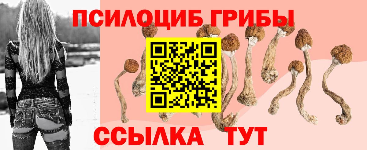 Псилоцибиновые грибы ЛСД Тольятти
