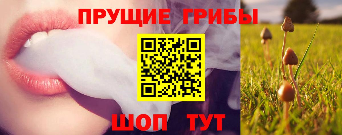 Галлюциногенные грибы Psilocybine cubensis  Тольятти 