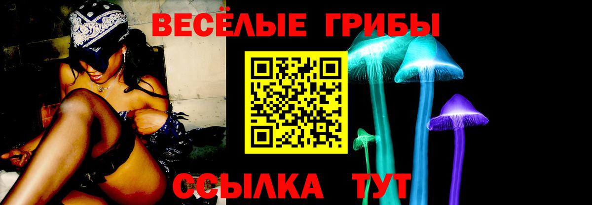 Тольятти  Псилоцибиновые грибы прущие грибы  Вход с VPN 